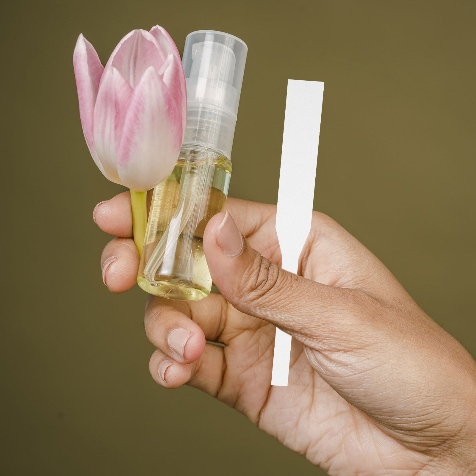 Perfume In Fragrance Shop - 100 Peças de Tiras de Teste